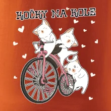 Kočky na kole