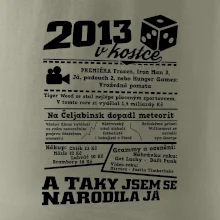 2013 v kostce