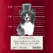 Lump a darebák border kolie