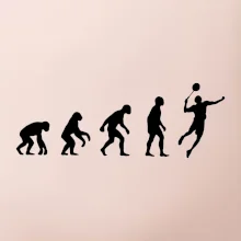 Evoluce Badminton