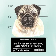 Lump a darebák mopsík