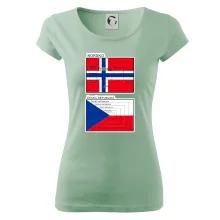 Norská a česká vlajka