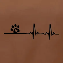 Veterinář EKG