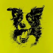 Černobílá karikatura Border kolie