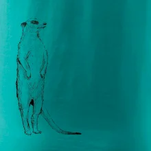 Surikata černá kresba