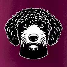 Lagotto romagnolo hlava na prsu