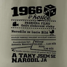 1966 v kostce