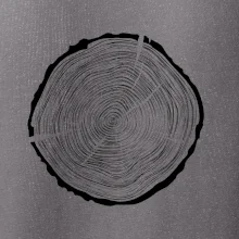 Letokruhy 55 bez věku