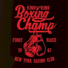 Boxing Champ