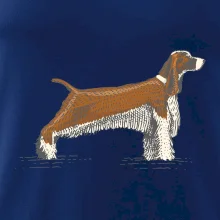 Vintage Springer spaniel