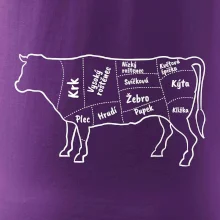 Kráva nákres s názvy