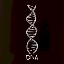 Cyklistovo DNA