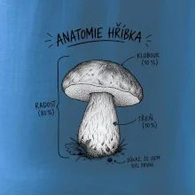 Anatomie hříbka