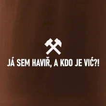 JÁ SEM HAVIŘ, A KDO JE VIĆ?!﻿