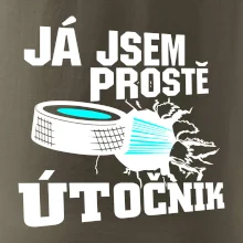 Já jsem prostě útočník (hokej)