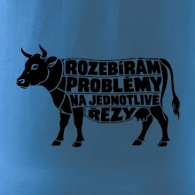 Rozebírám problémy na jednotlivé řezy