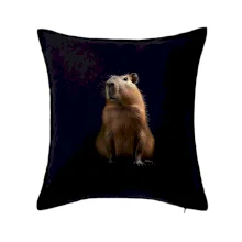 Kapybara ze předu černá fotka