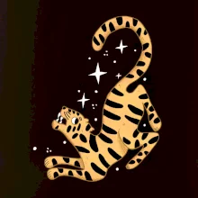 Tygr s hvězdami (studio-arte.cz)