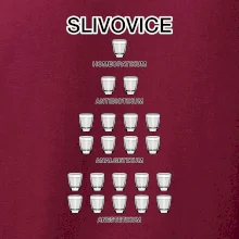 Slivovice počítání (Hana-creative) Slivovice počítání (Hana-creative)