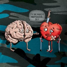 Mozek a srdce - poučení (Hana-creative)