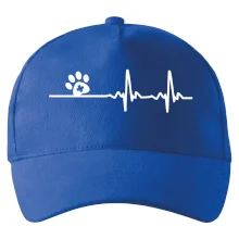 Veterinář EKG