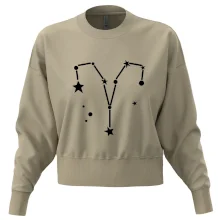 Souhvězdí - Aries - Beran