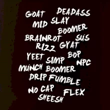 Generace Z - Gen Z slovník