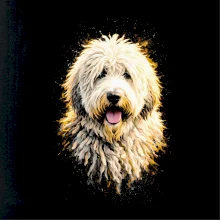 Obrázek polotón komondor hlava