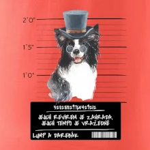 Lump a darebák border kolie