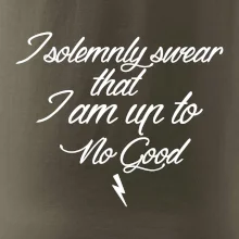 I solemnly swear that I'm up to no good