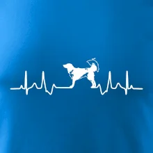 Český strakatý pes EKG
