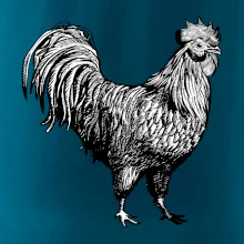 Kohout kreslený černobílý