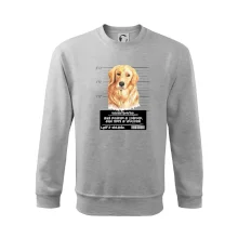 Lump a darebák zlatý retrívr