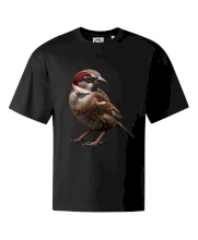 Vrabec polní černá fotka