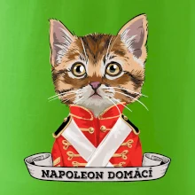 Napoleon domácí kočka