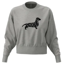 Jezevčík - Dachshund