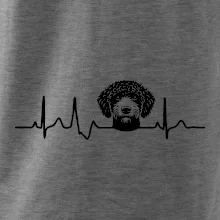 Lagotto romagnolo hlava EKG
