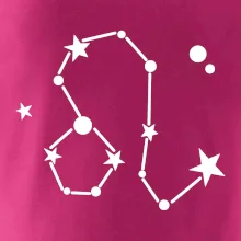 Souhvězdí - Leo - Lev