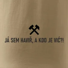 JÁ SEM HAVIŘ, A KDO JE VIĆ?!﻿