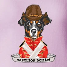 Napoleon domácí pes kříženec