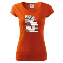 Chatovací slovník moderního seniora (Běžící češtinář)