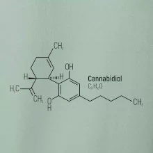 Molekulární struktura CBD (Canabidiol)