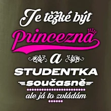 Je těžké být princezna - studentka
