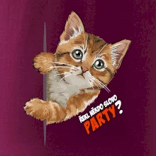 Řekl někdo slovo party