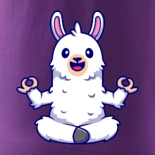 Yoga meditace - lama