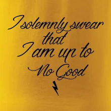 I solemnly swear that I'm up to no good