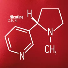 Molekulární struktura Nikotin
