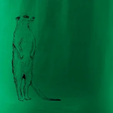 Surikata černá kresba