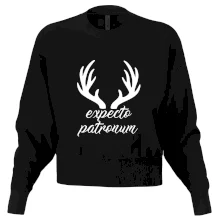 Harry - Expecto patronum