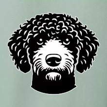 Lagotto romagnolo hlava na prsu